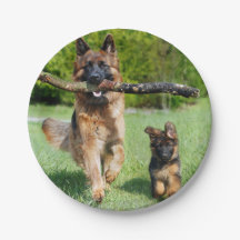 Tyska shepherd Papper Tallrikar