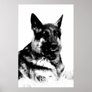 Tyska shepherd poster