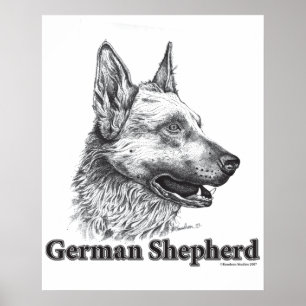 Tyska shepherd poster