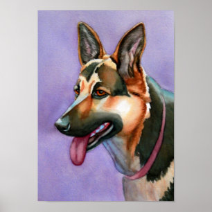 Tyska shepherd Poster