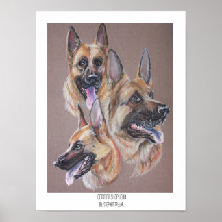 Tyska shepherd poster