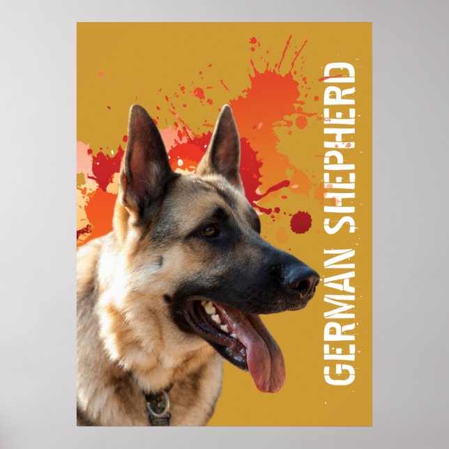 Tyska shepherd poster (Framsidan)