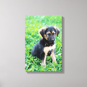 Tyska shepherd Puppy Canvastryck