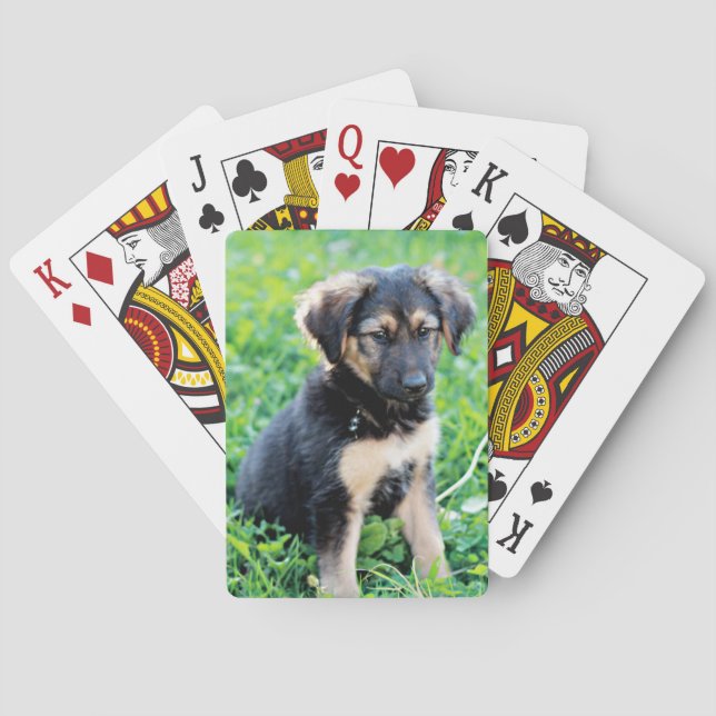 Tyska shepherd Puppy Casinokort (Baksidan)