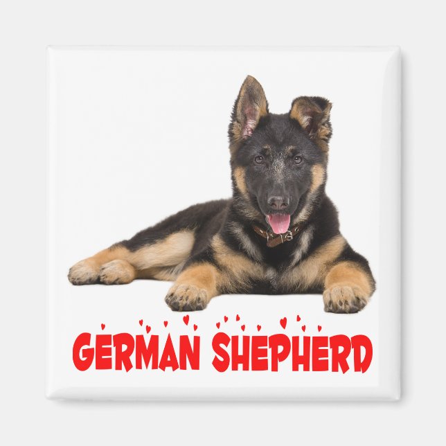 Tyska shepherd Puppy Hund Red Kärlek Hearts Magnet (Framsidan)