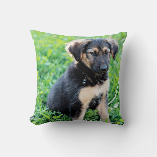 Tyska shepherd Puppy Kudde (Framsida)