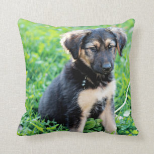 Tyska shepherd Puppy Kudde