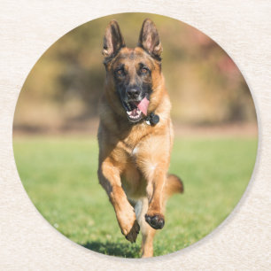 Tyska shepherd Running Underlägg Papper Rund