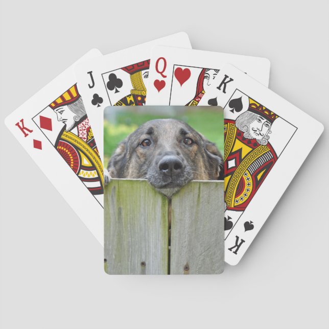 Tyska shepherd Tittar över stängslet Casinokort (Baksidan)