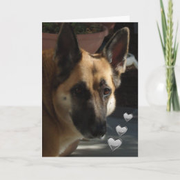 Tyska shepherd Turnin Min hjärtan Valentine Helgkort