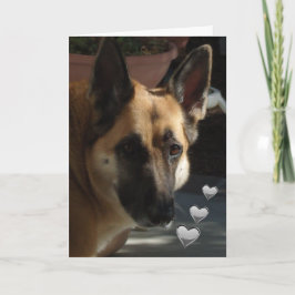 Tyska shepherd Turnin Min hjärtan Valentine Helgkort