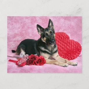 Tyska shepherd Valentine Helg Vykort