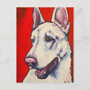 Tyska shepherd-White Vykort