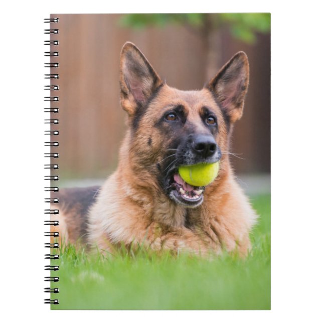 Tyska shepherd With Tennis Boll Anteckningsbok (Framsidan)