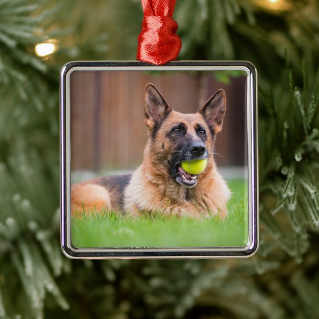 Tyska shepherd With Tennis Boll Julgransprydnad Metall (Träd)