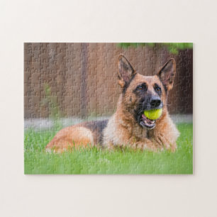 Tyska shepherd With Tennis Boll Pussel