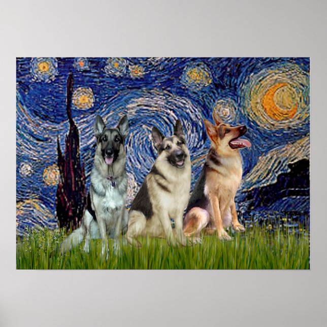 Tyska shepherds Three - Starry Night Poster (Framsidan)