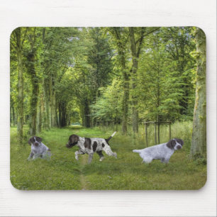 Tyska Shorthaired pekarevalper Mousepad Musmatta