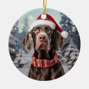 Tyska Shorthar Pointer-Hund - jultomten Julgransprydnad Keramik