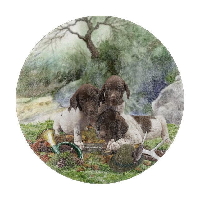 Tyska Shorthar Pointer-söta valpar (Framsidan)