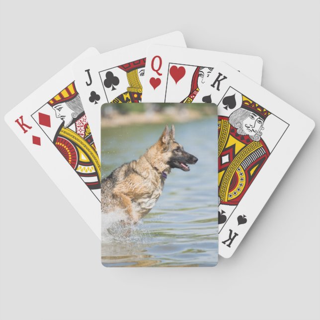 Tyska skvallerblad i Vatten Casinokort (Baksidan)