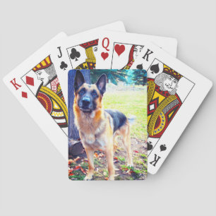 Tyska uppsamlingskort casinokort