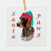 Tyska Wireh!s Pointer Santa Tassar
