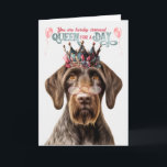 Tyska Wirehair Pointer Queen Day Funny Birthday Kort<br><div class="desc">Hund i en tysk Wirehair Pointer-hund är säker på att få ett magskratt med roligtens födelsedagskort som önskemål behandlar hennes droolvärdiga behandlingar.</div>