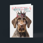 Tyska Wirehair Pointer Queen Day Funny Birthday Kort<br><div class="desc">Hund i en tysk Wirehair Pointer-hund är säker på att få ett magskratt med roligtens födelsedagskort som önskemål behandlar hennes droolvärdiga behandlingar.</div>