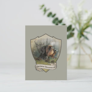Tyska Wirehsted Pointer, Boar Hunting Vykort