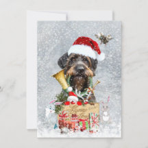 Tyska Wirehved Pointer, Boar Huncard