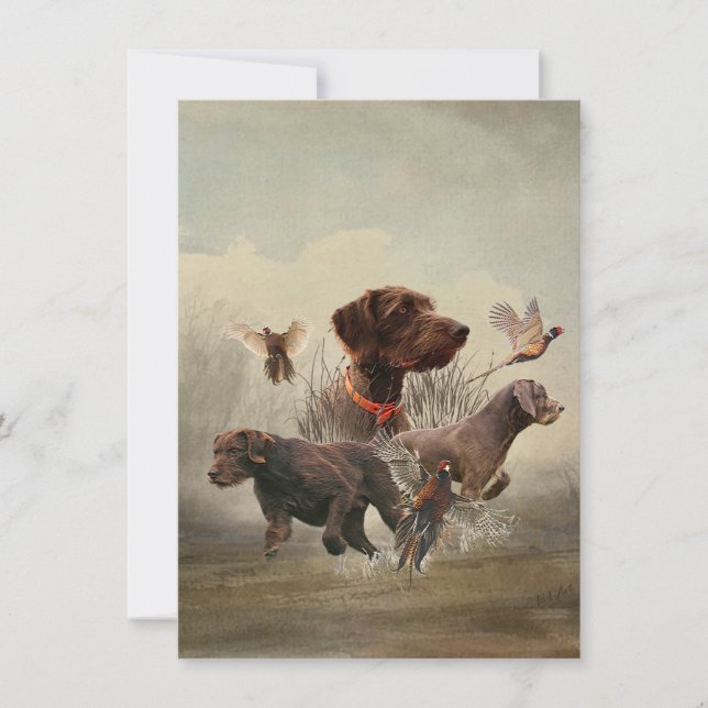 Tyska Wirehved Pointer, Boar Huncard Kort (Framsida)