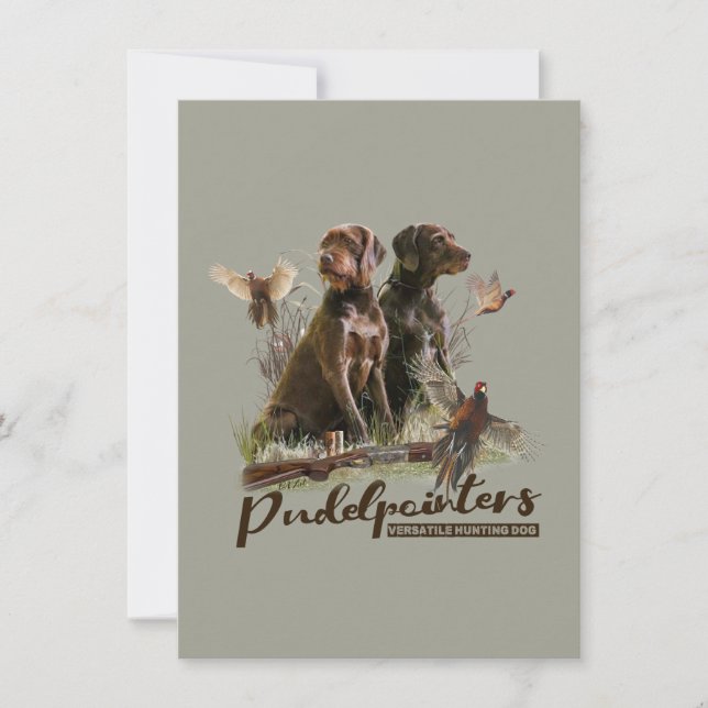 Tyska Wirehved Pointer, Boar Huncard Kort (Framsida)