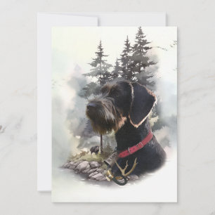 Tyska Wirehved Pointer, GWP Inbjudningar