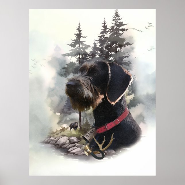 Tyska Wirehved Pointer, GWP Poster (Framsidan)