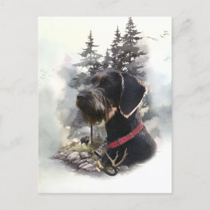 Tyska Wirehved Pointer, GWP Vykort