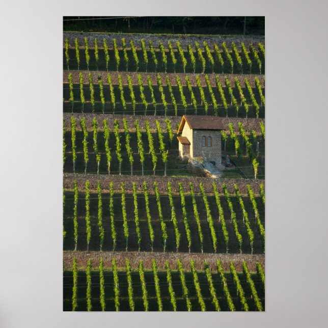 Tyskland, Franconia, Wertheim. Speciell sida 2 Poster (Framsidan)