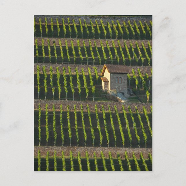 Tyskland, Franconia, Wertheim. Speciell sida 2 Vykort (Framsida)