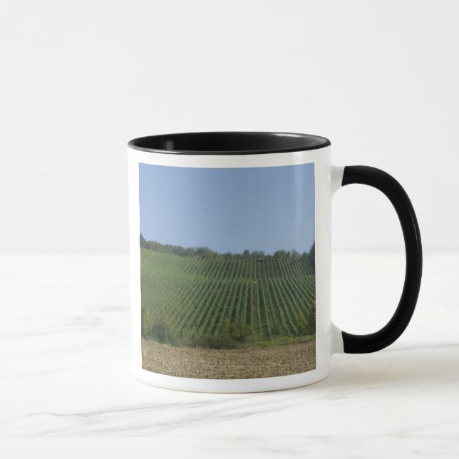 Tyskland, Franken, Rothenburg. Utsikt längs Mugg (Höger)