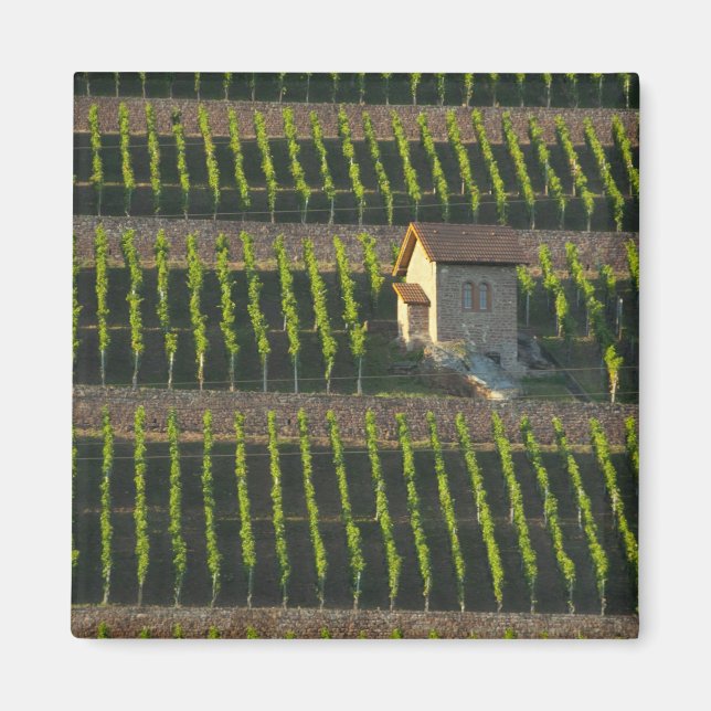 Tyskland, Franken, Wertheim. Speciell sluttning 2 Magnet (Framsidan)