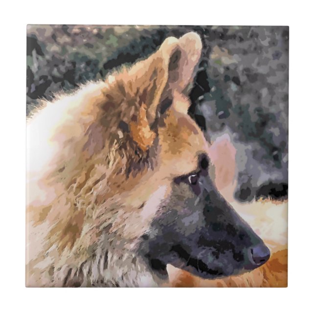 TYSKLAND SHEPHERD HUND KAKELPLATTA (Framsidan)