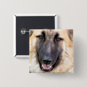 TYSKLAND SHEPHERD HUND KNAPP