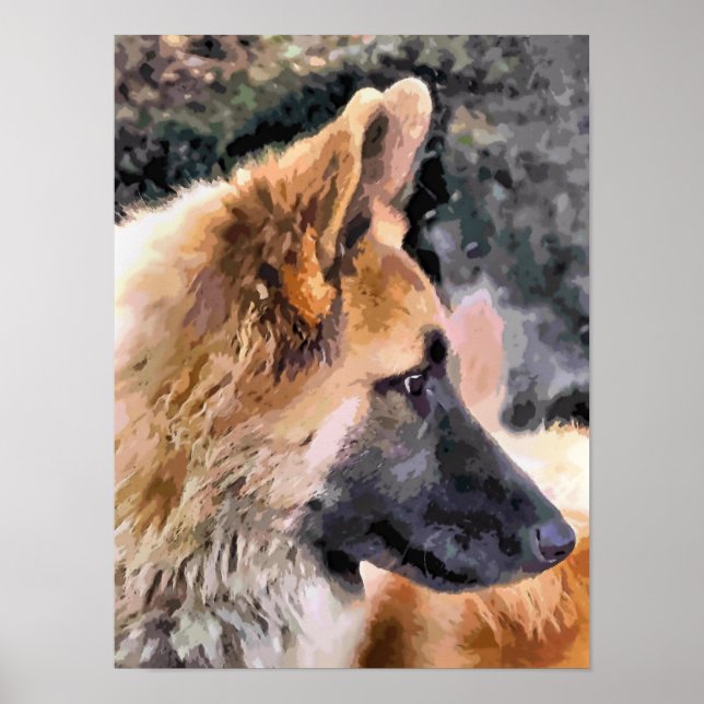 TYSKLAND SHEPHERD HUND POSTER (Framsidan)