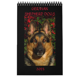 TYSKLAND SHEPHERD HUNDAR - Ensidig kalender