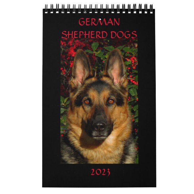 TYSKLAND SHEPHERD HUNDAR - Ensidig kalender (Omslag)