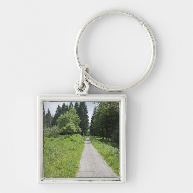 Tyskland Thüringen, väg i skog Fyrkantig Silverfärgad Nyckelring (Framsidan)