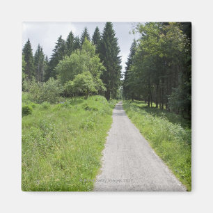 Tyskland Thüringen, väg i skog Magnet
