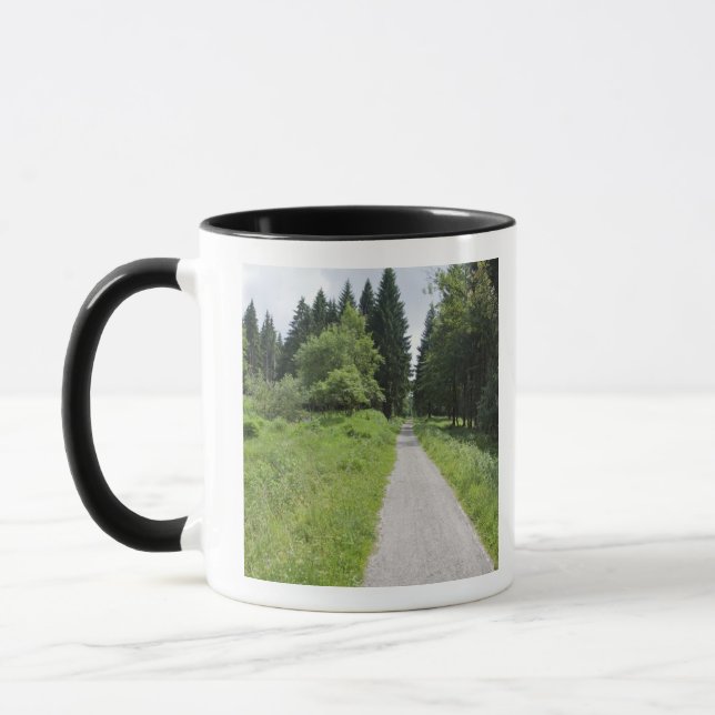 Tyskland Thüringen, väg i skog Mugg (Vänster)