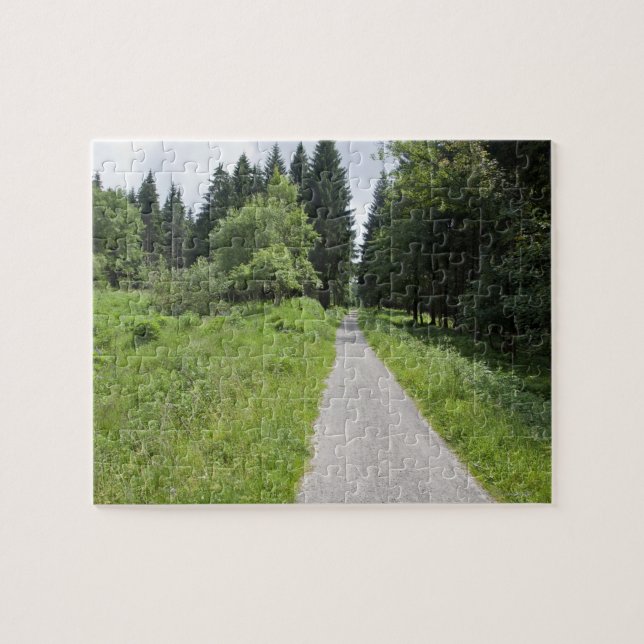 Tyskland Thüringen, väg i skog Pussel (Horisontell)