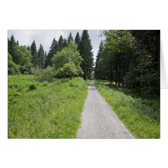 Tyskland, Thuringia, väg i skog Hälsningskort (Framsidan Horizontal)